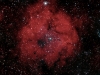 IC 1396, nebulosa a Cefeu, 19/11/19